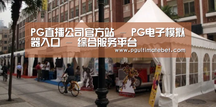 案例标题九