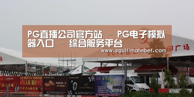 案例标题十