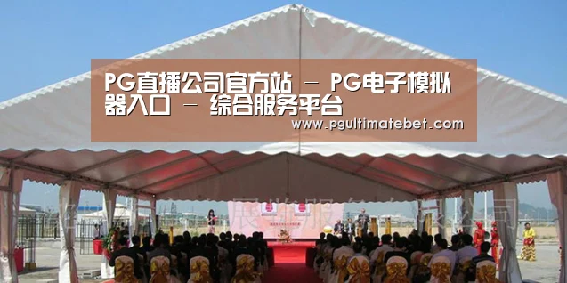 案例标题三