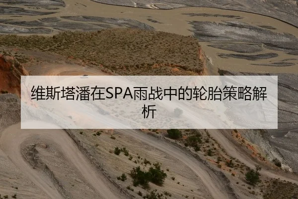 维斯塔潘在SPA雨战中的轮胎策略解析