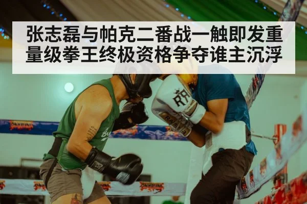 张志磊与帕克二番战一触即发重量级拳王终极资格争夺谁主沉浮