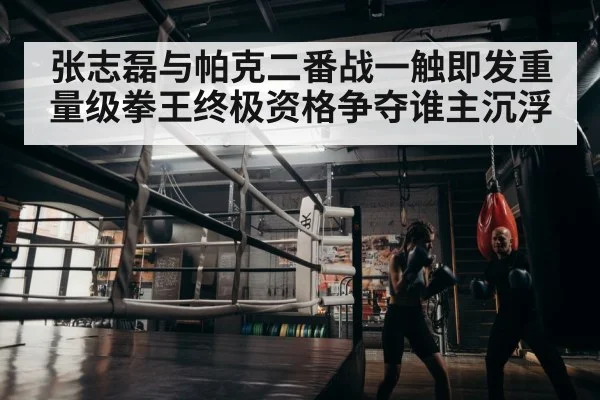 boxer training