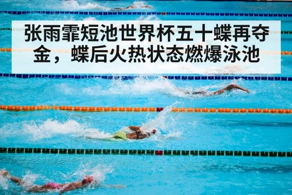 swimming competition Olympic pool